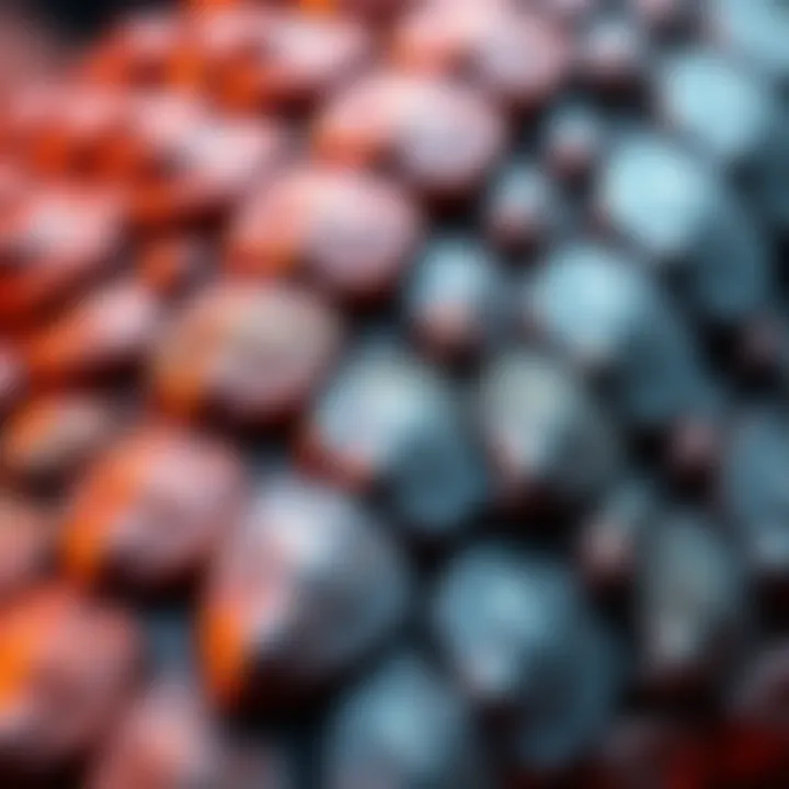 A close-up view of textured scales on a 3D model showcasing different shapes and heights, highlighting detailed coloration and patterning