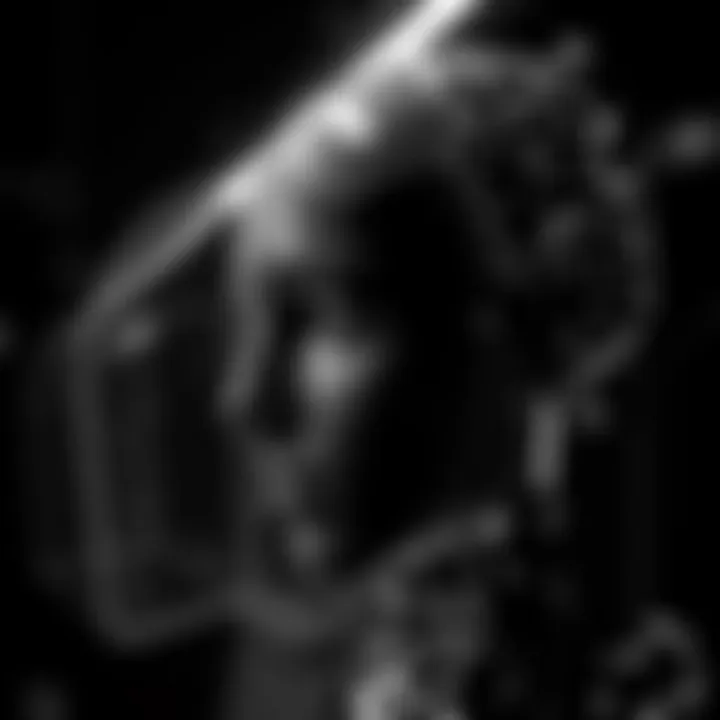 A stunning black and white AI-generated image showcasing dramatic shadows and light contrasts, highlighting the beauty of monochrome art.