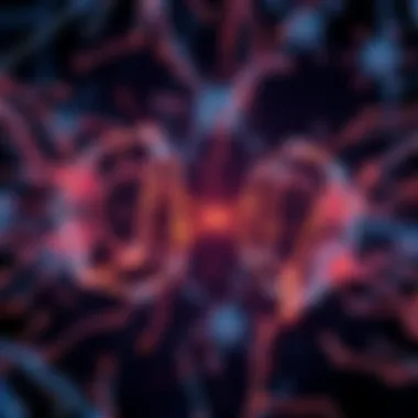 Illustration of neural networks showing different internal representations with contrasting structures, symbolizing the Fractured Entangled Representation Hypothesis in artificial intelligence.