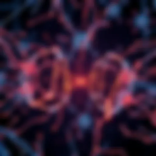 Illustration of neural networks showing different internal representations with contrasting structures, symbolizing the Fractured Entangled Representation Hypothesis in artificial intelligence.