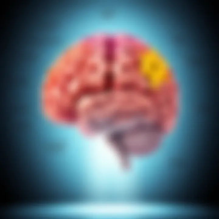 Illustration showing different brain regions with labels for their functions, highlighting how each part contributes to thinking and behavior.