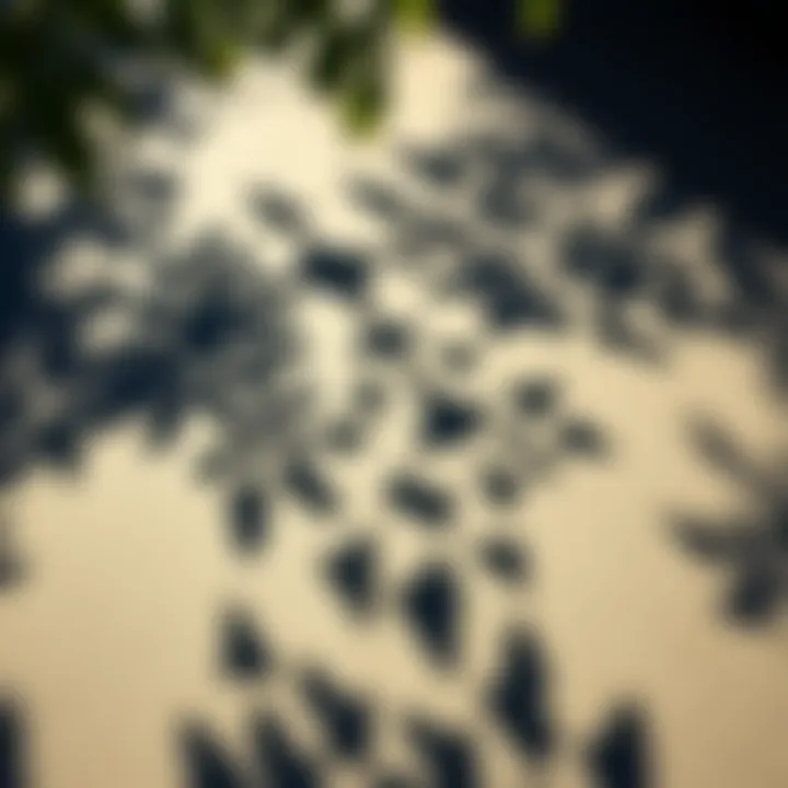 A close-up view of a broken shadow cast on pavement, showing distorted and fragmented shapes as light filters through leaves above.