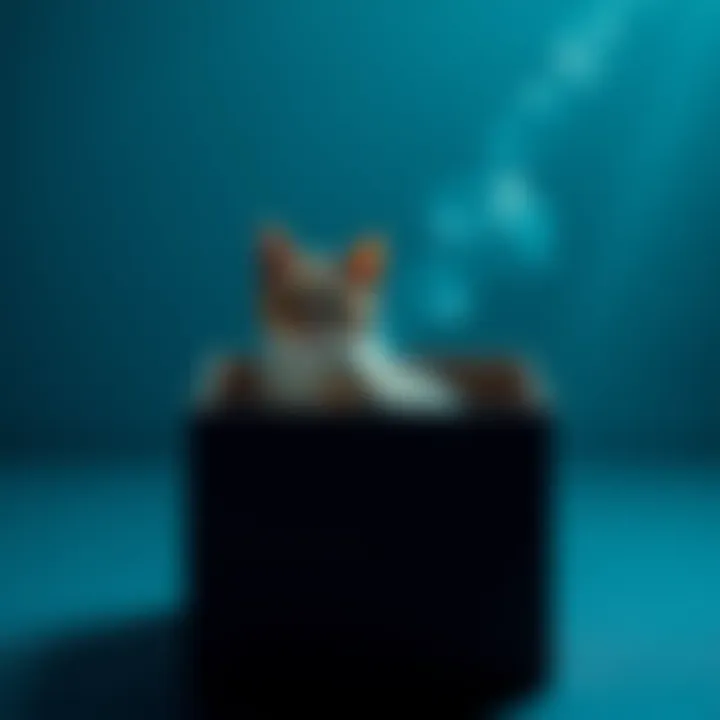 A cat sits inside a closed box, representing the thought experiment of Schrödinger's fable