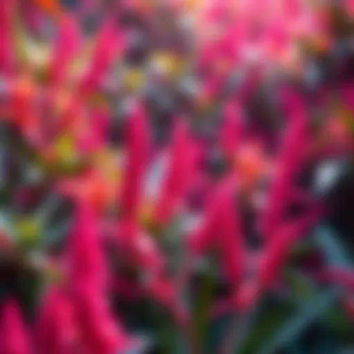 Lush, bright plants with pink flowers and green leaves thriving in the Pink Jungle
