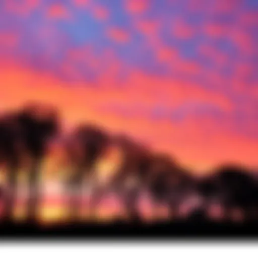A vibrant sunset with pastel skies and silhouetted trees in the foreground.