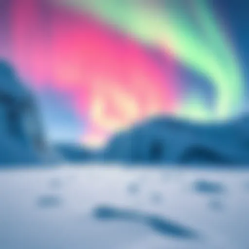 A vibrant scene showcasing the four distinct colors of Arctic landscapes, highlighting the natural beauty of ice, snow, and the northern lights.