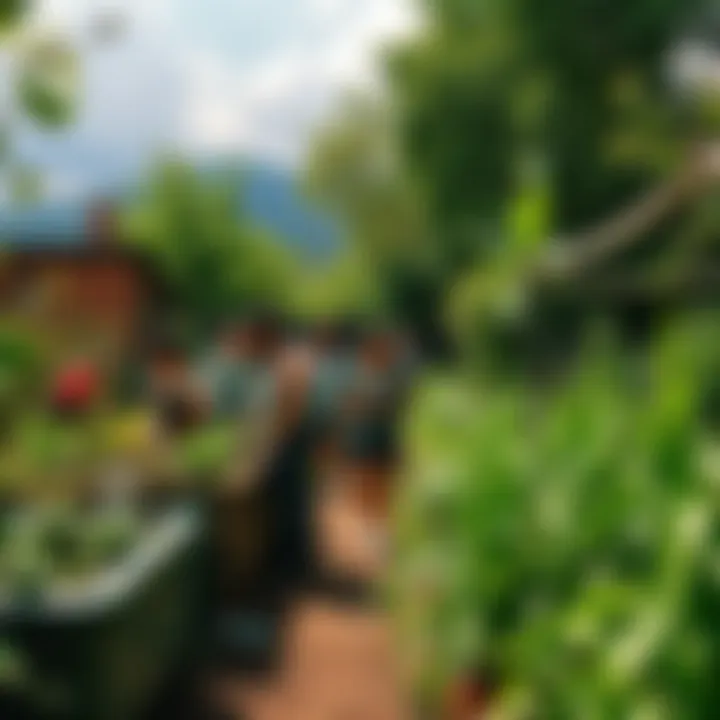 People working together in a community garden, surrounded by greenery and plants, sharing ideas and creativity.