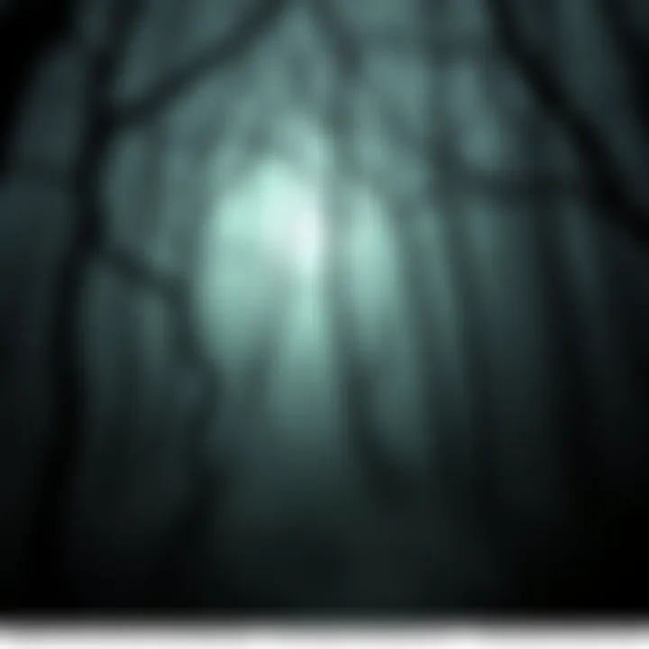 A dark, foggy forest with twisted trees and shadows, creating a spooky atmosphere.