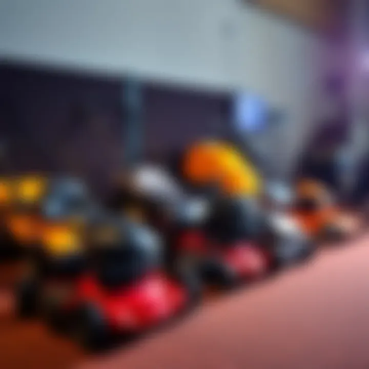 A selection of five different lawn mowers arranged in a neat row, showcasing their unique designs and features.