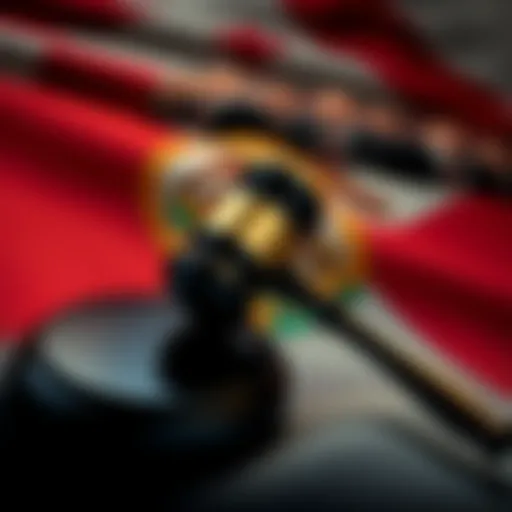 A gavel resting on a Florida state flag with images of controversial behavior cases in the background.