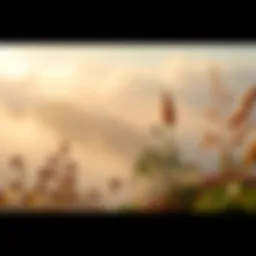 A serene outdoor scene with volumetric fog and soft camera blur, featuring diverse plant life and warm light.