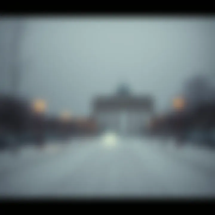 A foggy winter day in Berlin with bare trees and overcast skies
