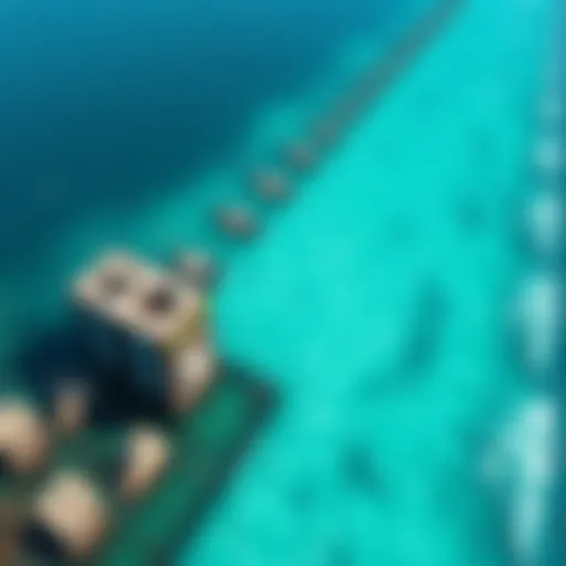 Concrete reef structures in Hawaii designed to reduce wave energy and protect the coastline