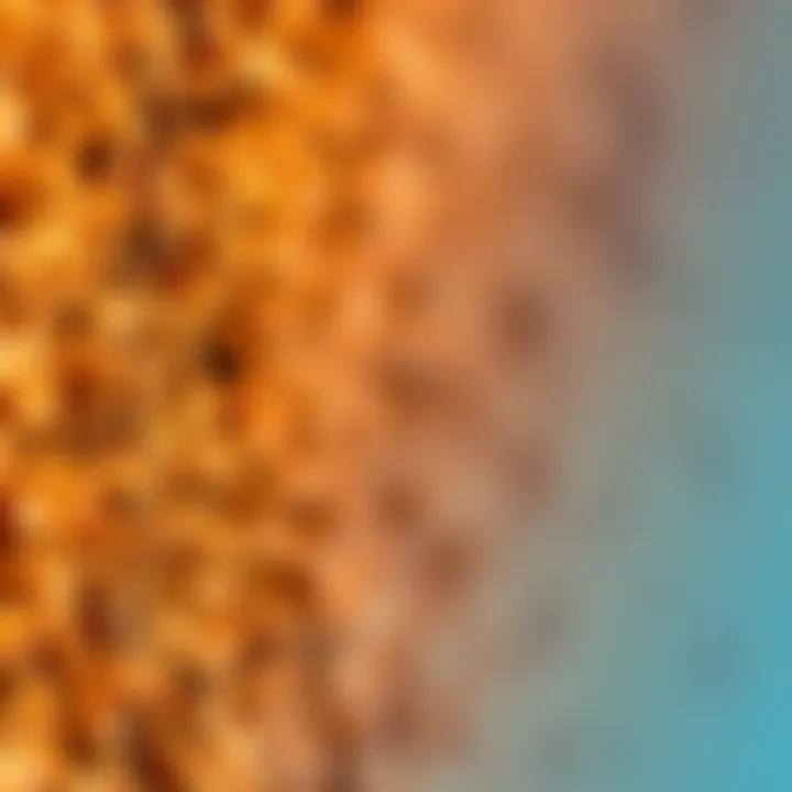 A close-up of a photograph showcasing a heavy grainy effect, emphasizing texture and depth, with visible grain patterns throughout the image.