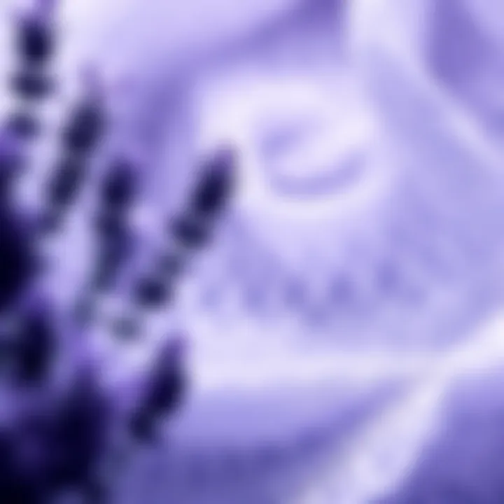 A serene image featuring a blend of lavender flowers and lace patterns, symbolizing the emotional and creative aspects of the Lavender & Lace music genre inspired by Prof. Jemima Stackridge.