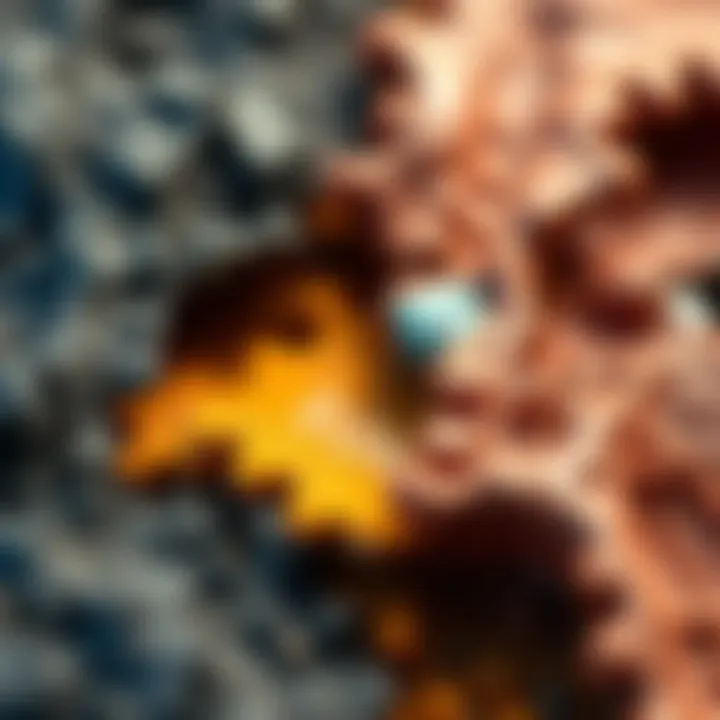 A close-up view of worn-out materials showcasing different levels of wear and tear, illustrating the impact of various drivers on performance.