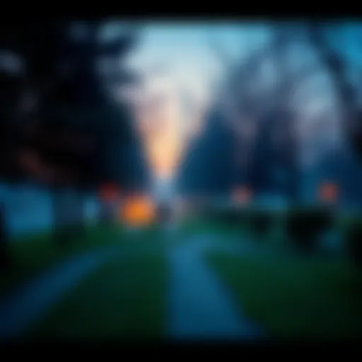 A solitary person strolling through a serene park, surrounded by trees and paths, reflecting on everyday life.