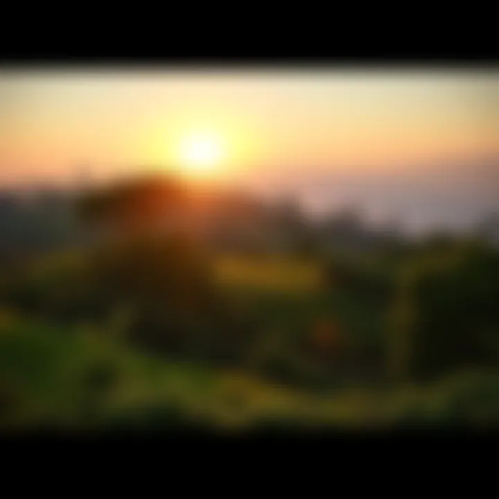 A peaceful hill bathed in soft morning light, surrounded by lush greenery and trees, inviting visitors to enjoy nature's calm presence.