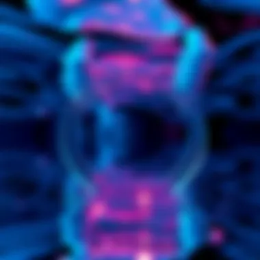 Polished water reflection in RippleLoop showcasing realistic effects