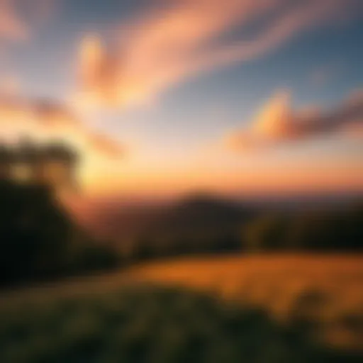 A peaceful view of a quiet hill during sunset, surrounded by trees and soft grass, ideal for relaxation.