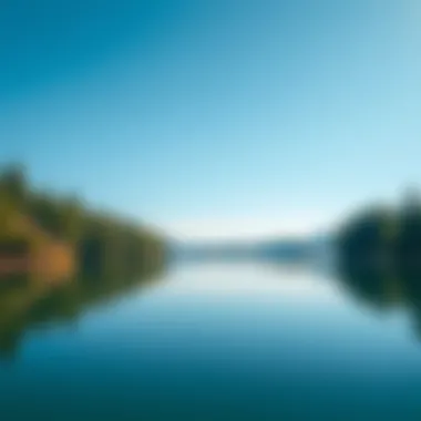 A serene scene showing a calm lake surrounded by trees under a clear blue sky, symbolizing simplicity and tranquility.