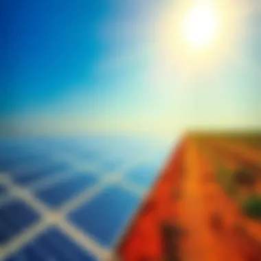 Solar panels in India A vast field of solar panels under a bright sun, symbolizing India's plan to increase solar energy production by 2035.