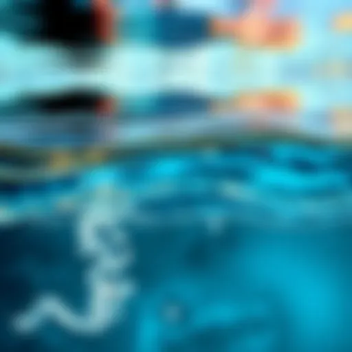 A split image showing the top view of water with clear reflections above and the bottom view showing underwater details and reflections below.
