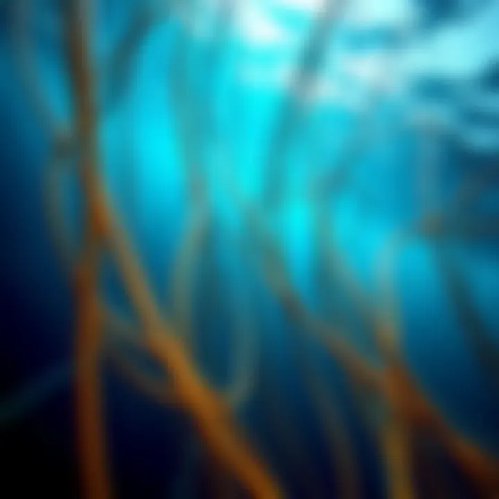 Underwater Internet Cables A view of underwater internet cables on the ocean floor, showing their importance for global connectivity.