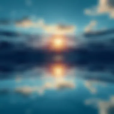 A comparison of top and bottom views of water reflections showcasing different perspectives.